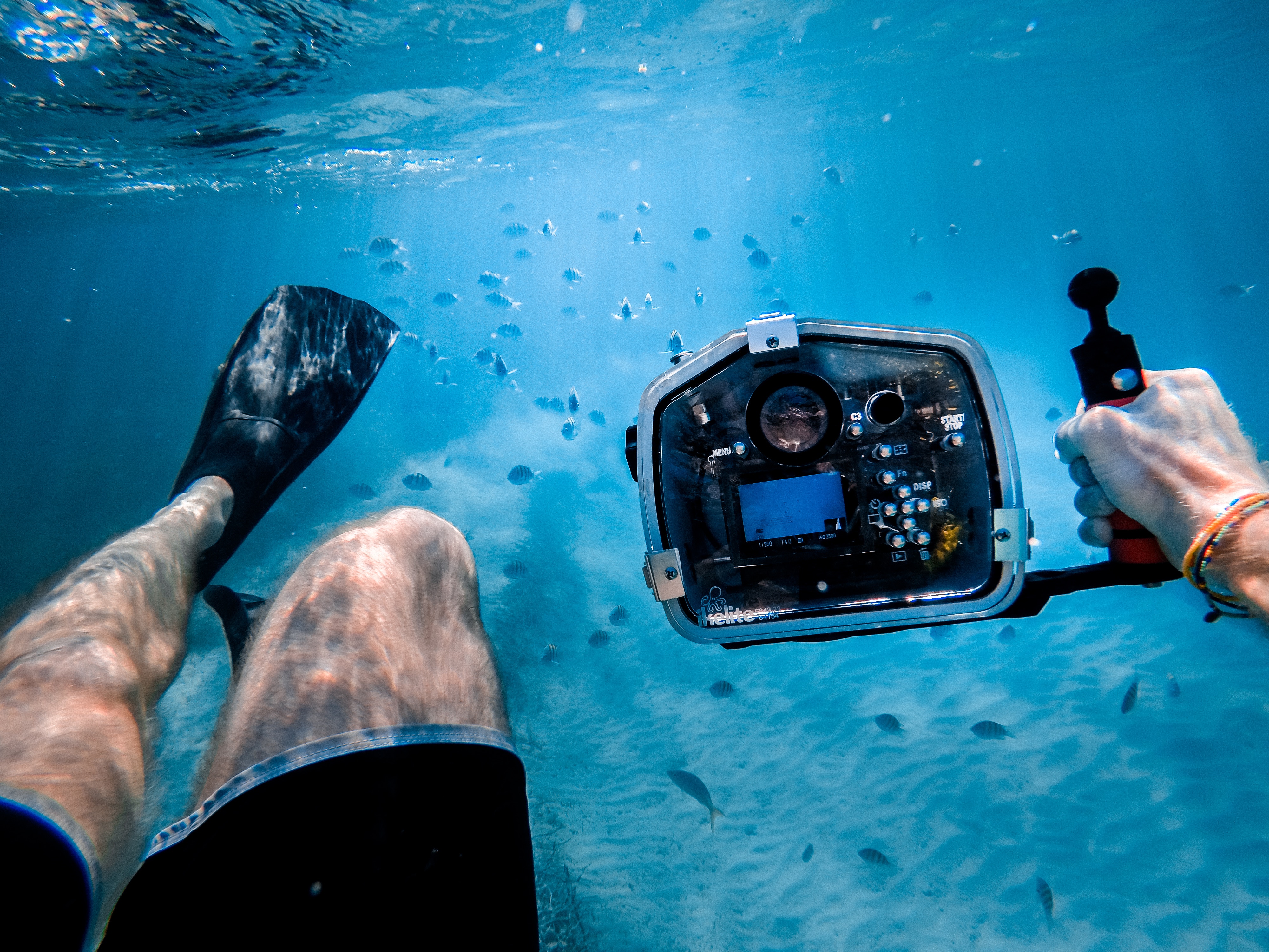 diving