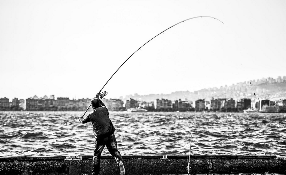 fishing rod